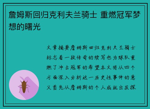 詹姆斯回归克利夫兰骑士 重燃冠军梦想的曙光